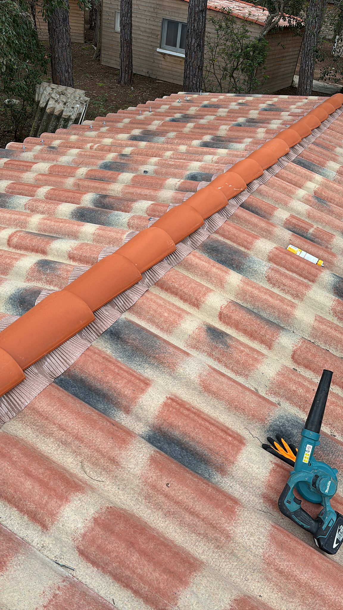 whatsapp image 2026 02 20 at 14.56.36