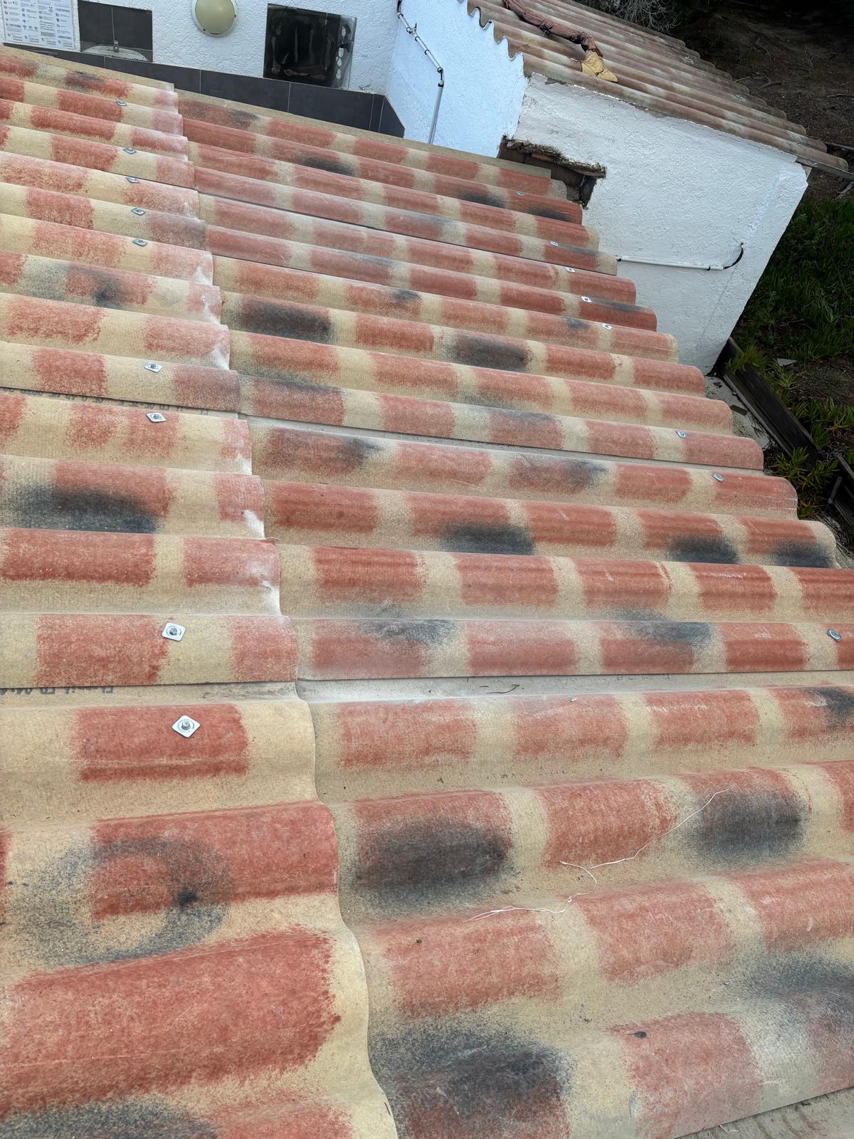 whatsapp image 2026 02 20 at 14.57.52